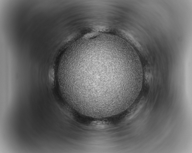 X0000093620211200710221552