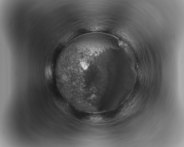 X0000093620214200710221552