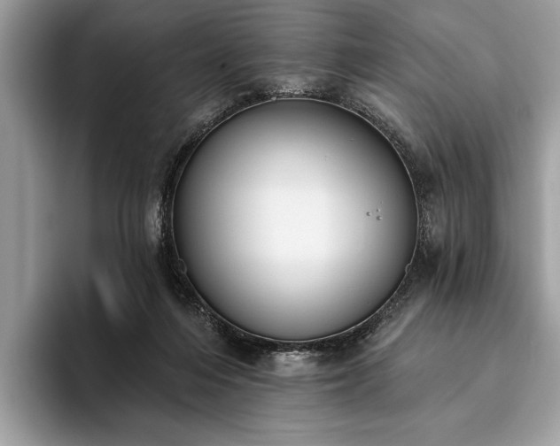 X0000093620216200710221552