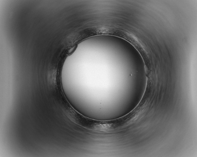 X0000093620217200710221552
