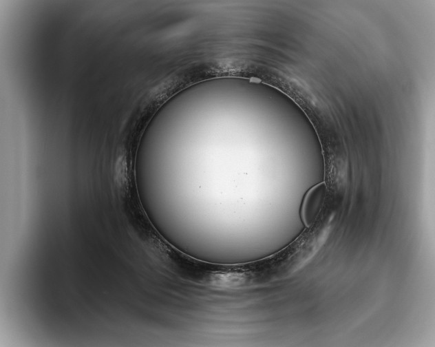 X0000093620220200710221552