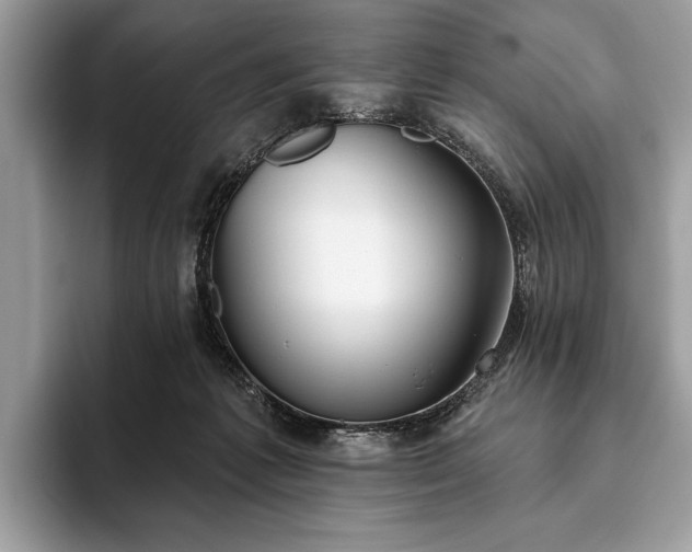 X0000093620221200710221552