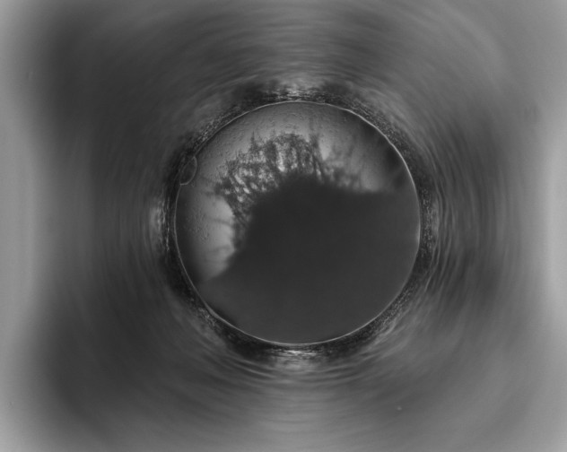 X0000093620222200710221552