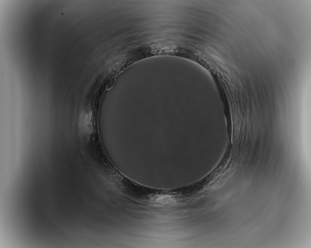 X0000093620224200710221552