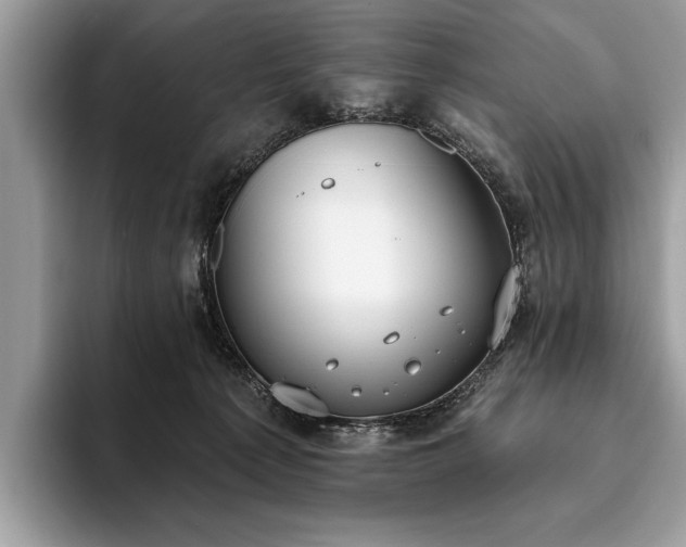 X0000093620225200710221552
