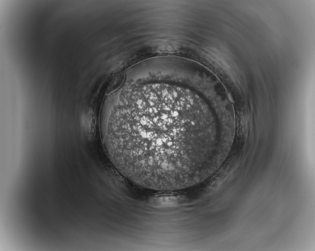 X0000093620228200710221552