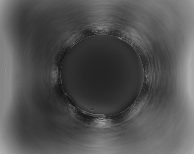 X0000093620231200710221552