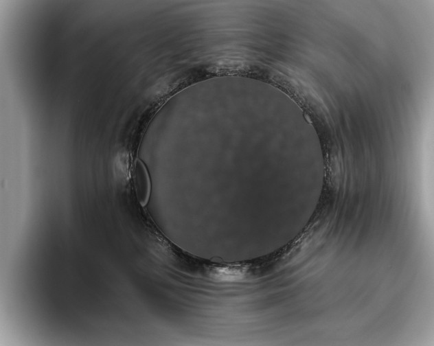 X0000093620232200710221552