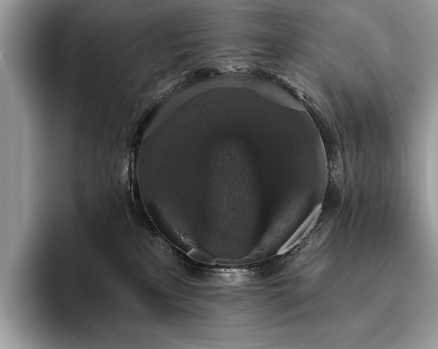 X0000093620233200710221552