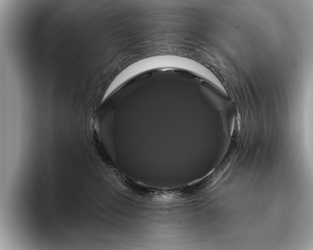 X0000093620235200710221552