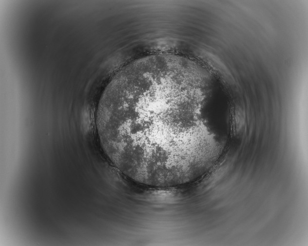 X0000093620236200710221552