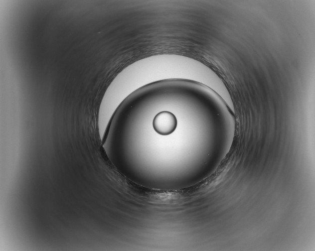 X0000093620237200710221552
