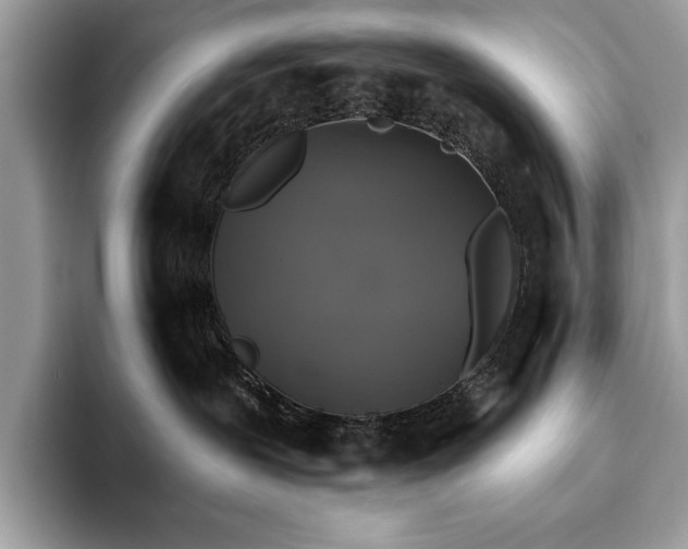 X0000093620239200710221552