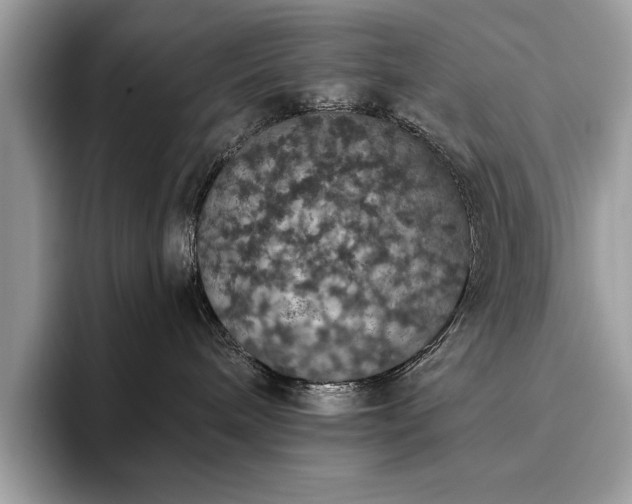 X0000093620240200710221552
