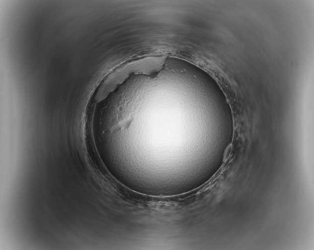 X0000093620242200710221551