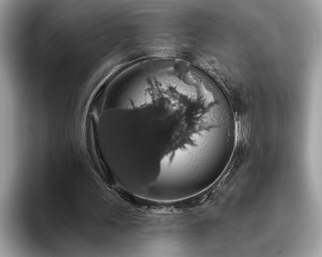 X0000093620243200710221551