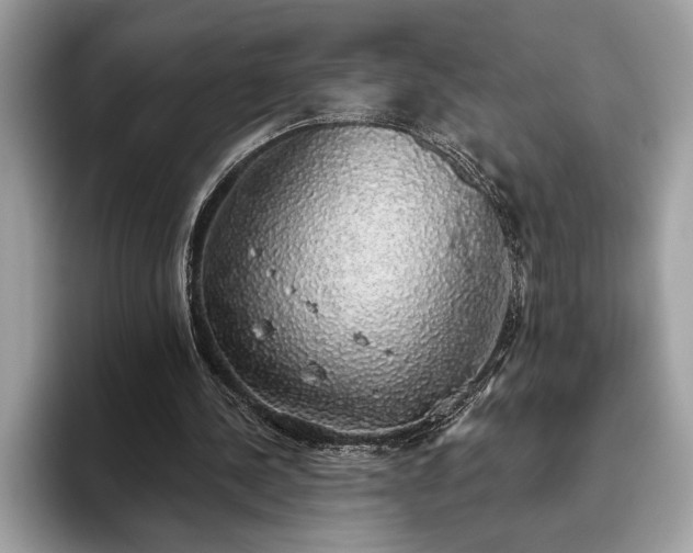 X0000093620244200710221551