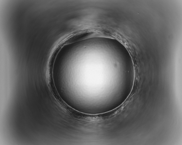 X0000093620245200710221551