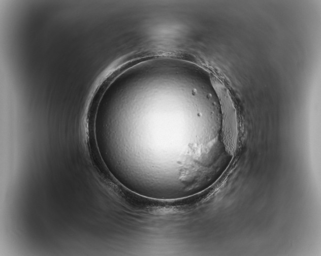 X0000093620246200710221551