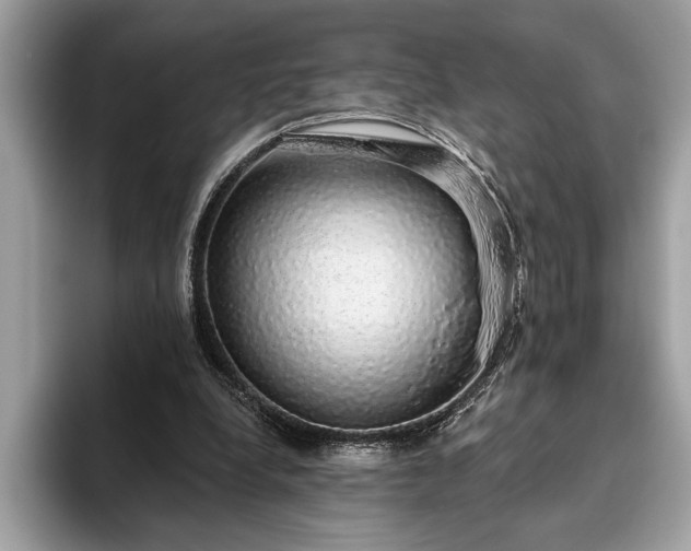 X0000093620248200710221551