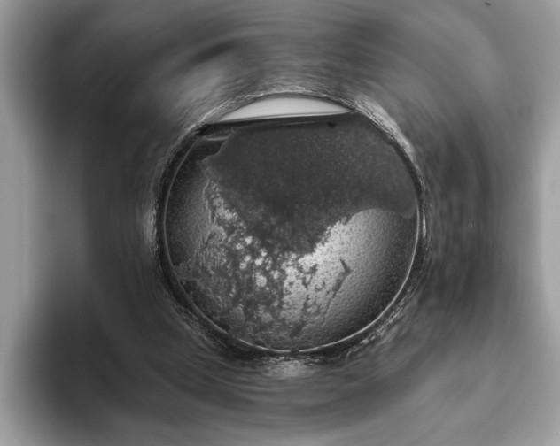 X0000093620249200710221552