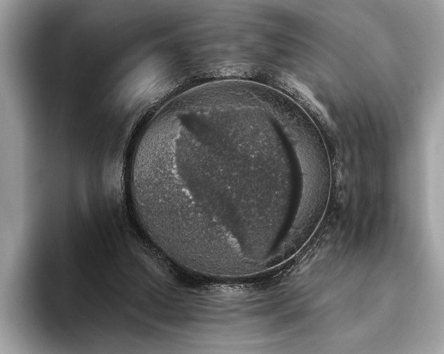 X0000093620250200710221552