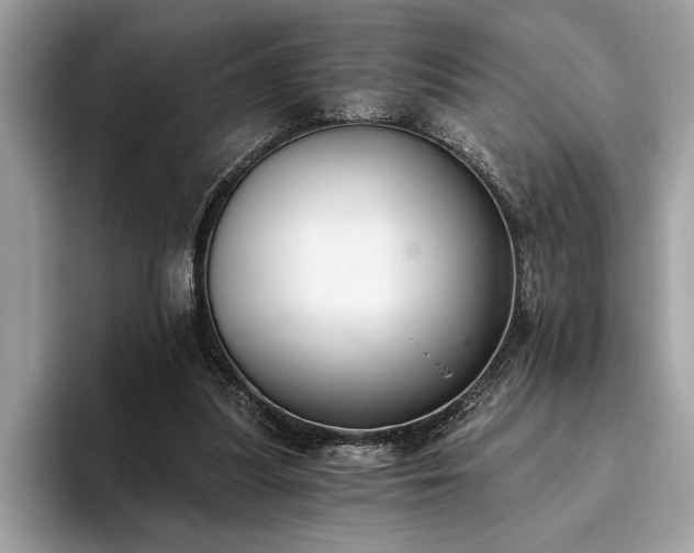 X0000093620251200710221552