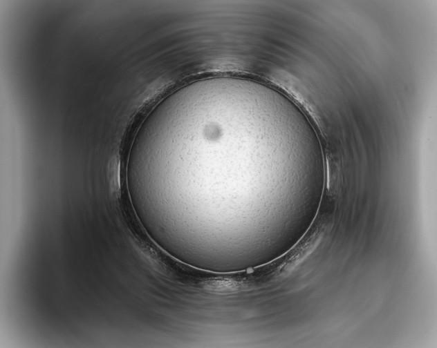 X0000093620253200710221552