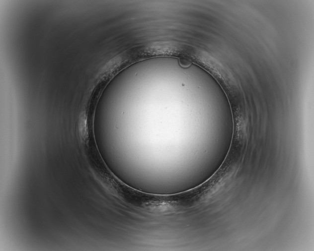 X0000093620254200710221552