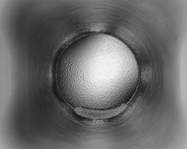 X0000093620256200710221552