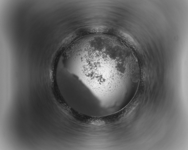 X0000093620258200710221552