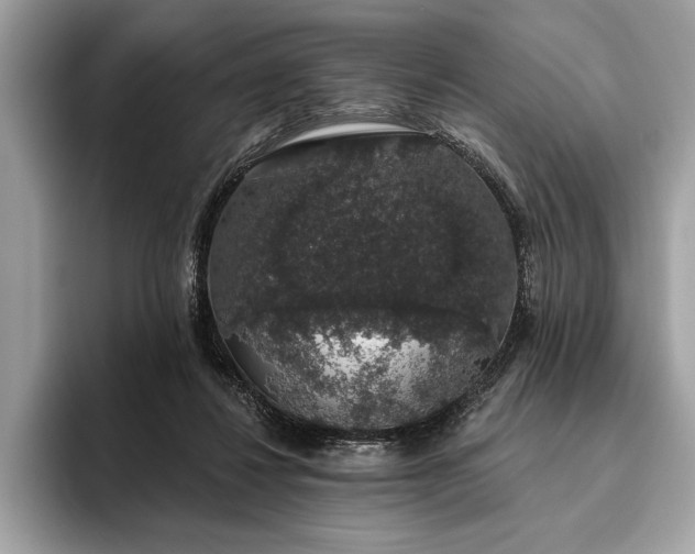 X0000093620260200710221552