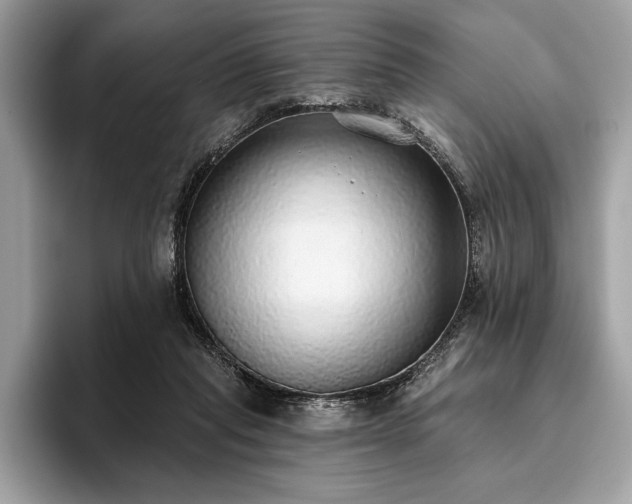 X0000093620261200710221552