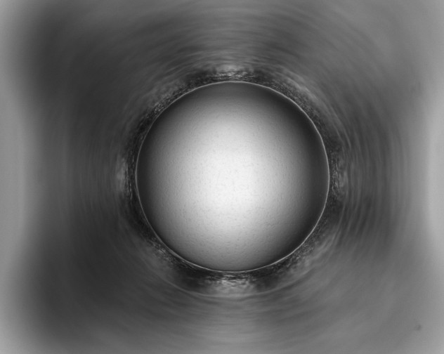X0000093620270200710221552