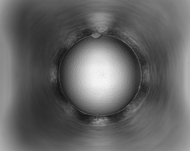 X0000093620274200710221552