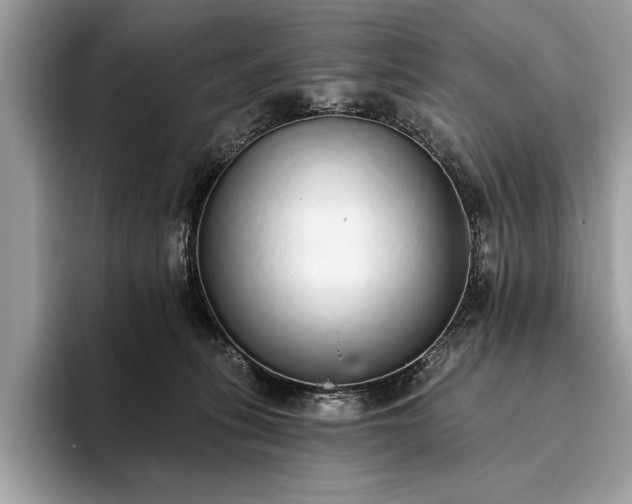 X0000093620275200710221552