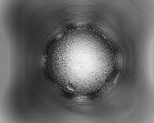 X0000093620278200710221552