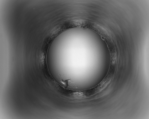 X0000093620279200710221552