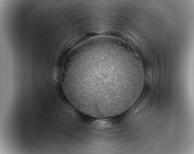 X0000093620280200710221552