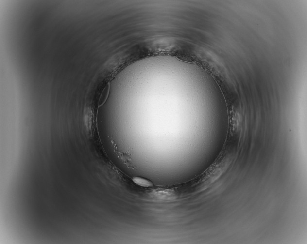 X0000093620283200710221552