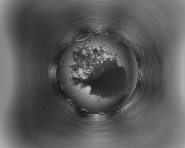 X0000093620286200710221552