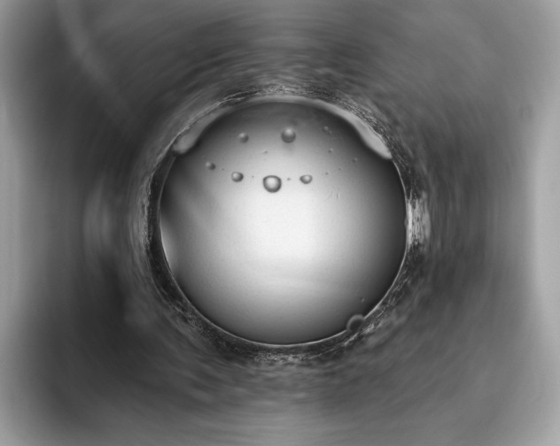 X0000093620291200710221551