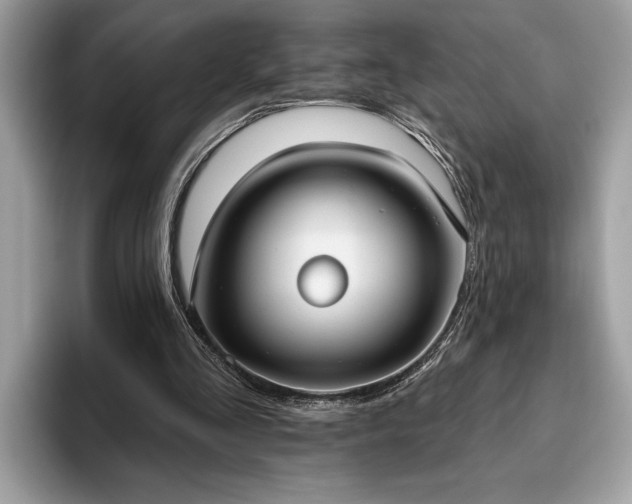X0000093620293200710221551