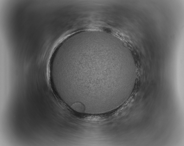 X0000093620294200710221551