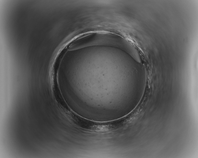 X0000093620295200710221551