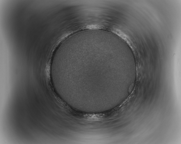 X0000093620297200710221551