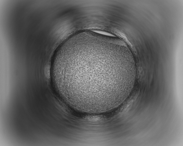 X0000093620299200710221551