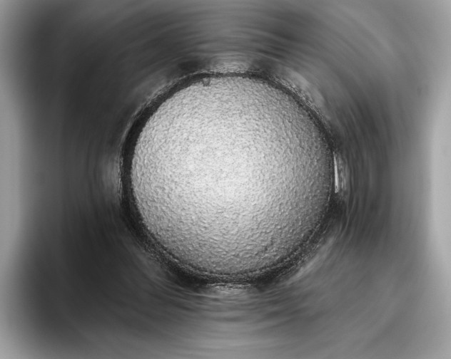 X0000093620300200710221551