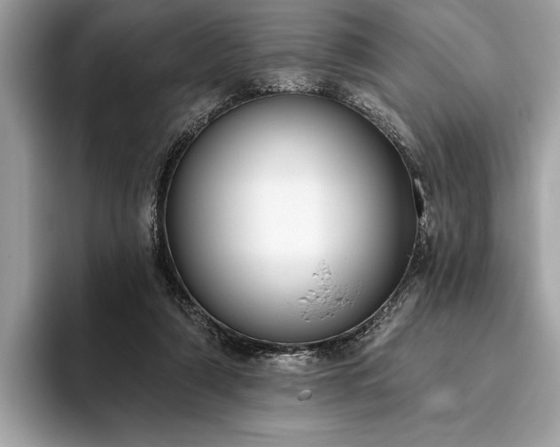 X0000093620306200710221551