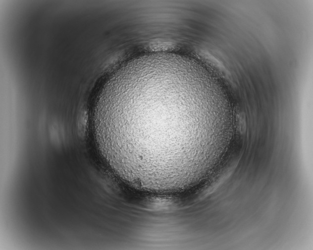 X0000093620308200710221551